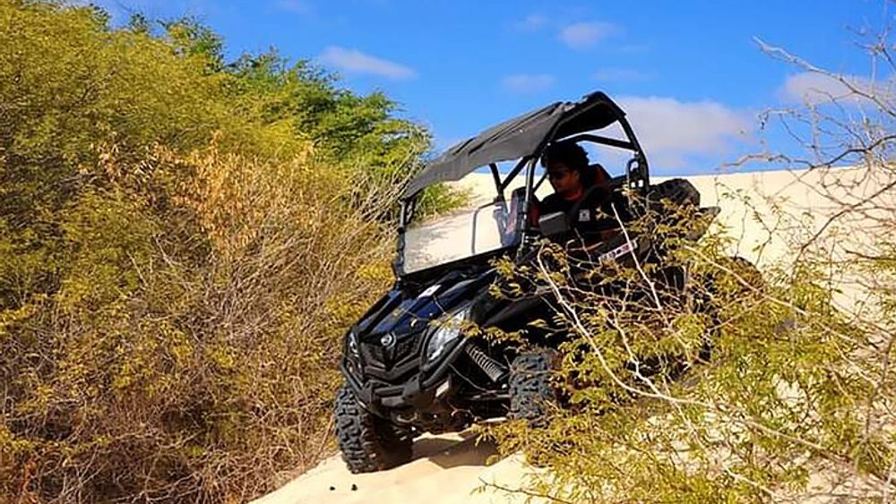 Rabil Small-Group Boa Vista Buggy Tour