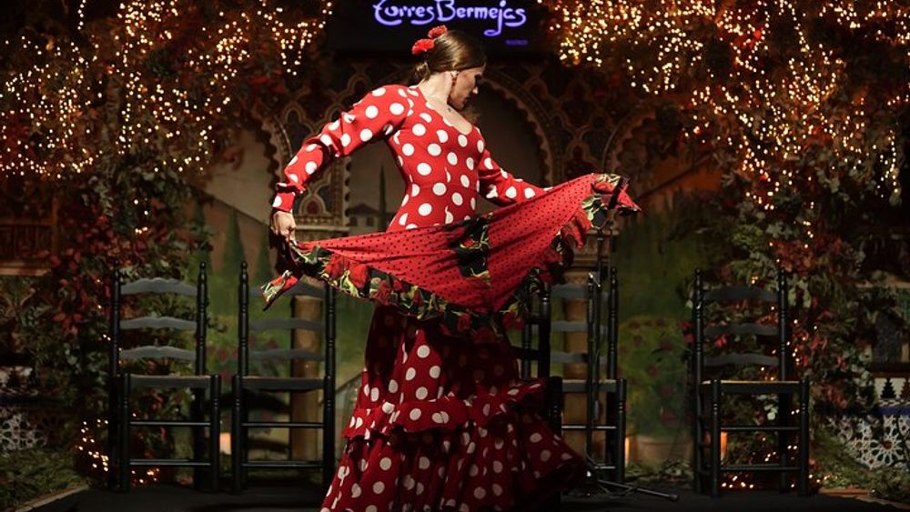 Flamenco Show at Torres Bermejas in Madrid