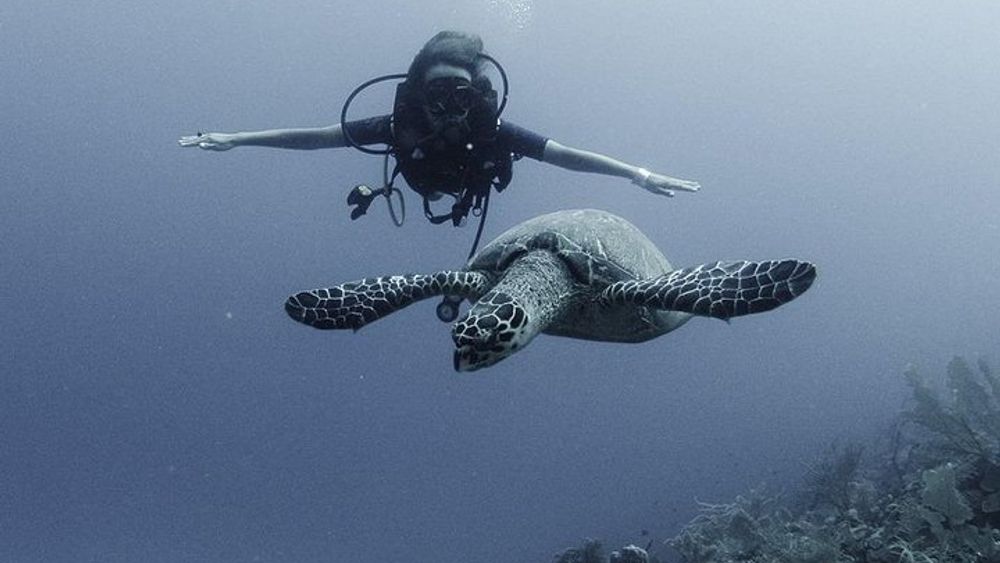 Costa Maya Discover Scuba Diving