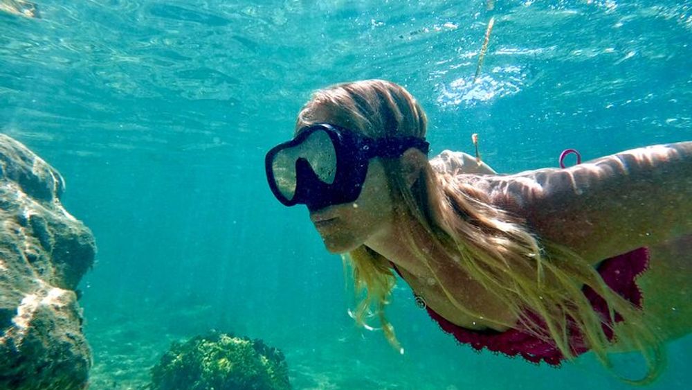 Beginner Snorkel Tour With Videos in West Palm Beach