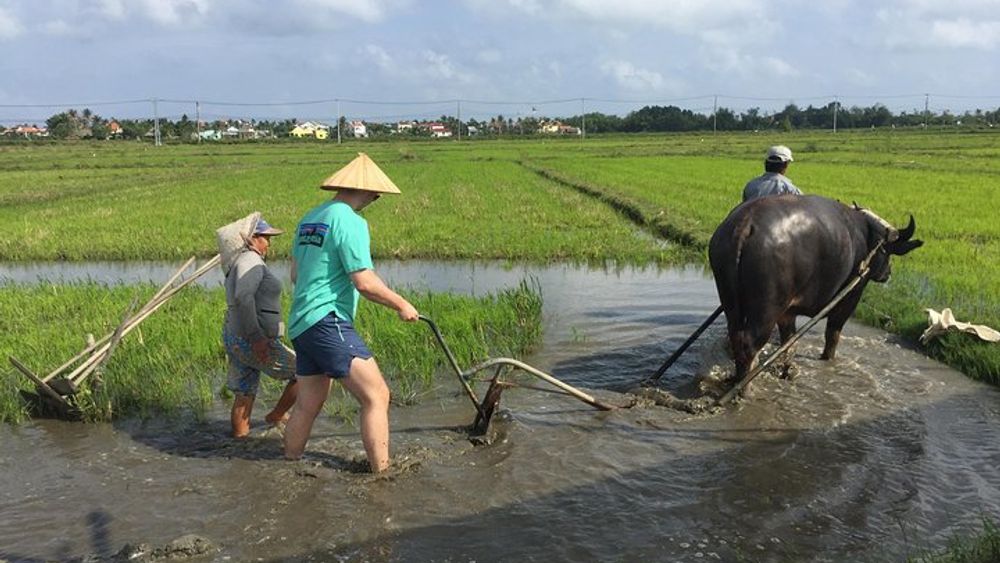 Hoi An Countrylife Tour Experience & Vietnamese Set Menu
