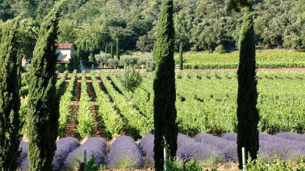 Aix en Provence to Coteaux d'Aix, Luberon Half-Day Wine Tour
