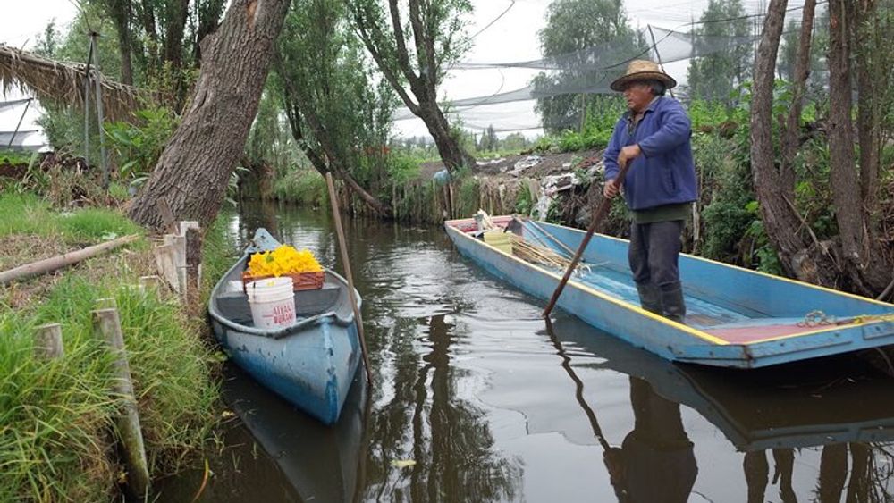 The City Green Exploring the Urban Eco Reserve of Xochimilco
