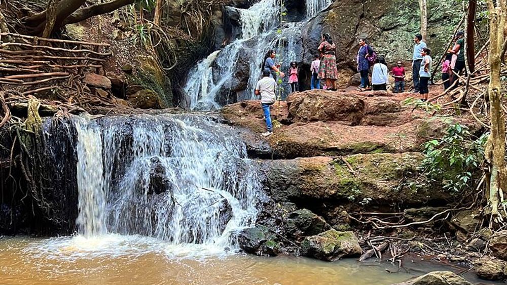 Karura Forest Nature Trail