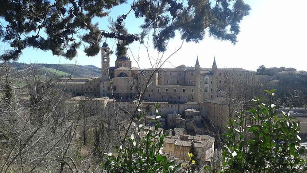Visit of the Ducal Palace of Urbino