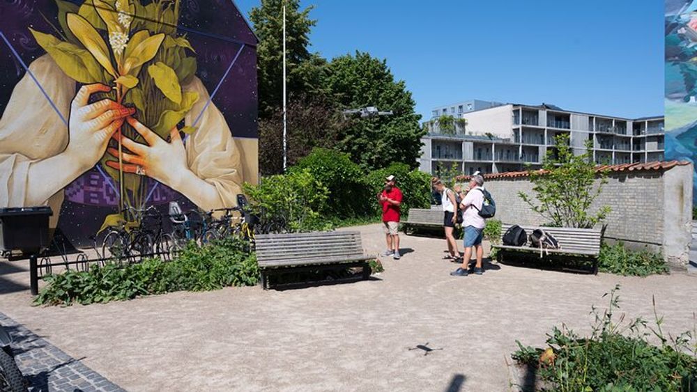 3-Hours Street Art Tour in Aalborg