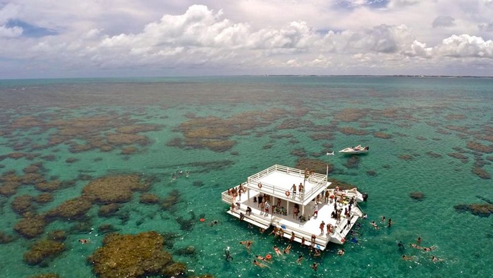Maracajau from Natal