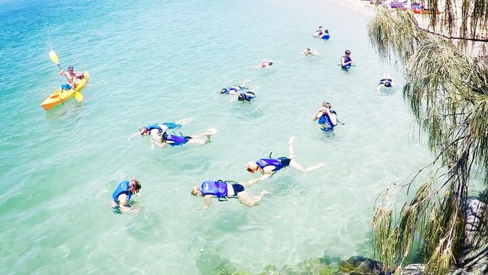 2 Hours Dolphin Kayaking & Snorkeling Tour on the Broadwater