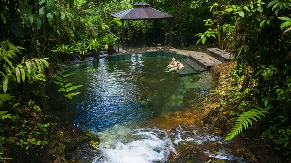 Sensoria: Luxury Rainforest Land of Senses Walking and Thermals Tour