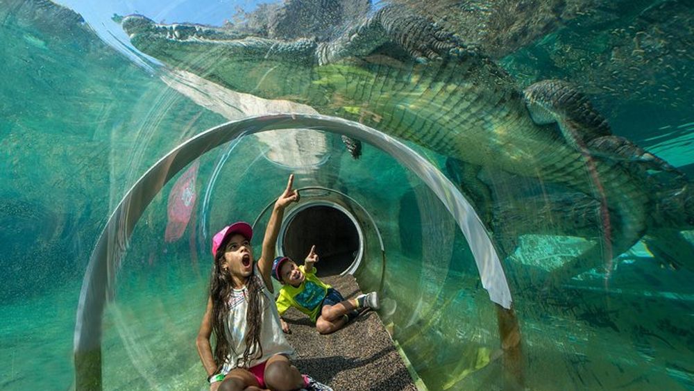 Zoo Miami Admission Ticket with Upgrade Option