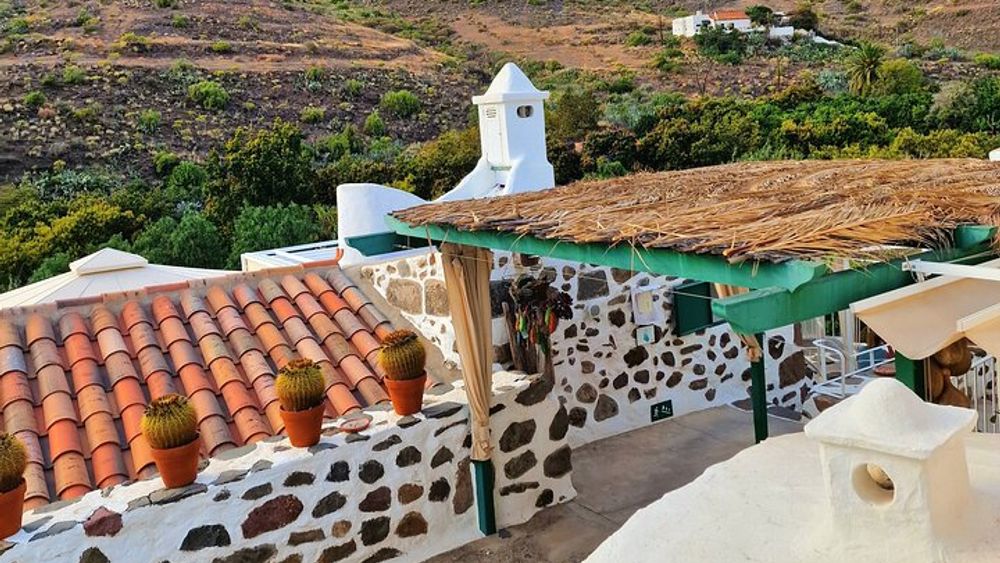 Canarian farmhouse in Mogan, mango farm and vermouth factory