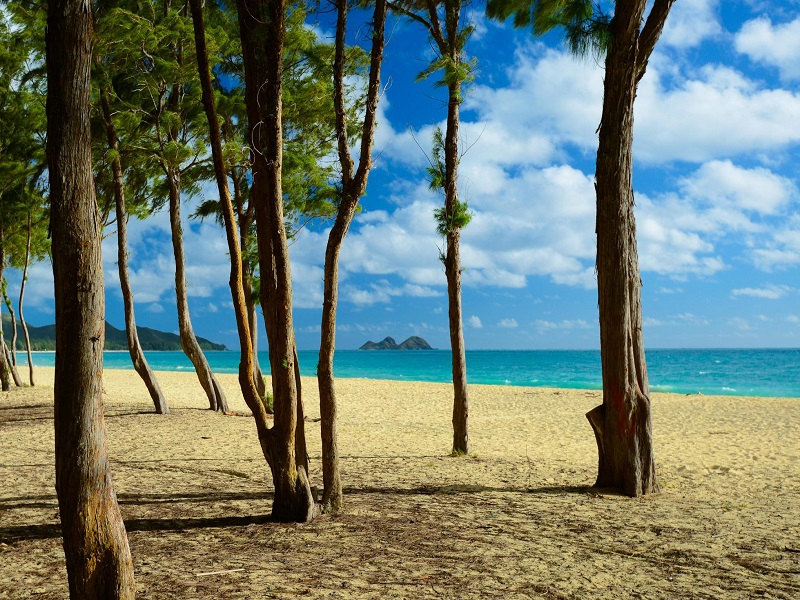 Private Beautiful Hawaii Tour