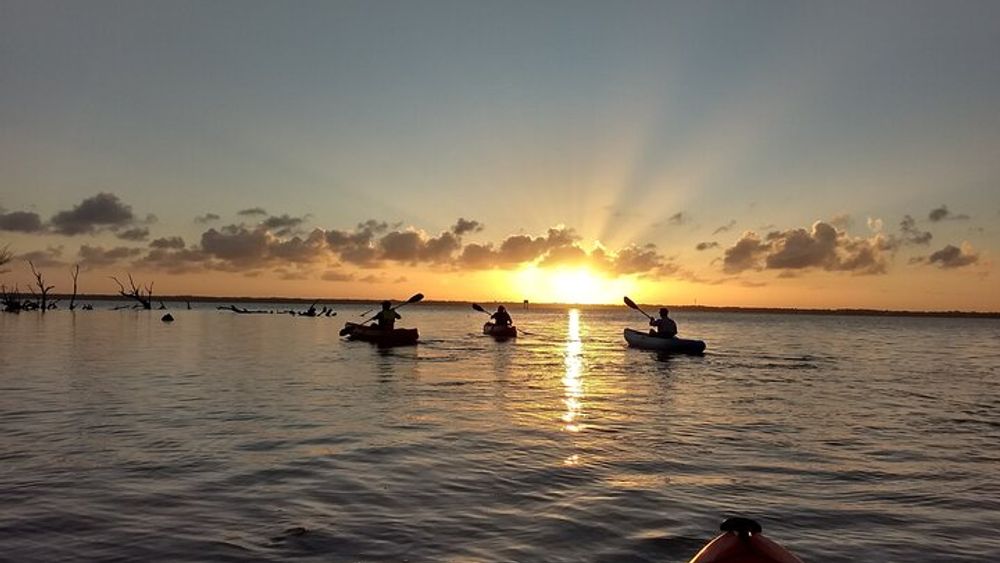 Manatee Cove Small-Group Sunset Kayak Tour
