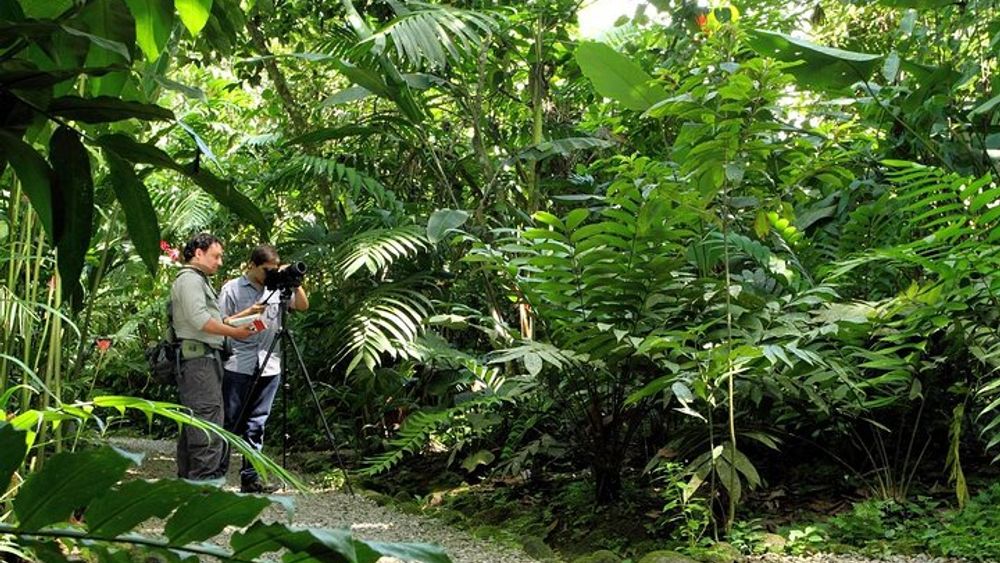 Nature Walk at Ecological Park and Butterfly Garden Danaus