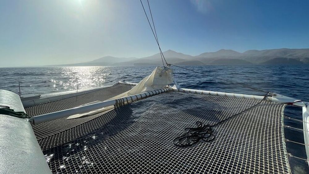 Whale & Dolphin Observation on Silent Catamaran with Hydrophone