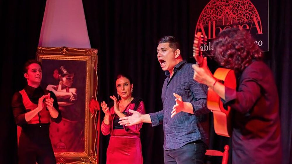 Flamenco Show in the Center of Granada