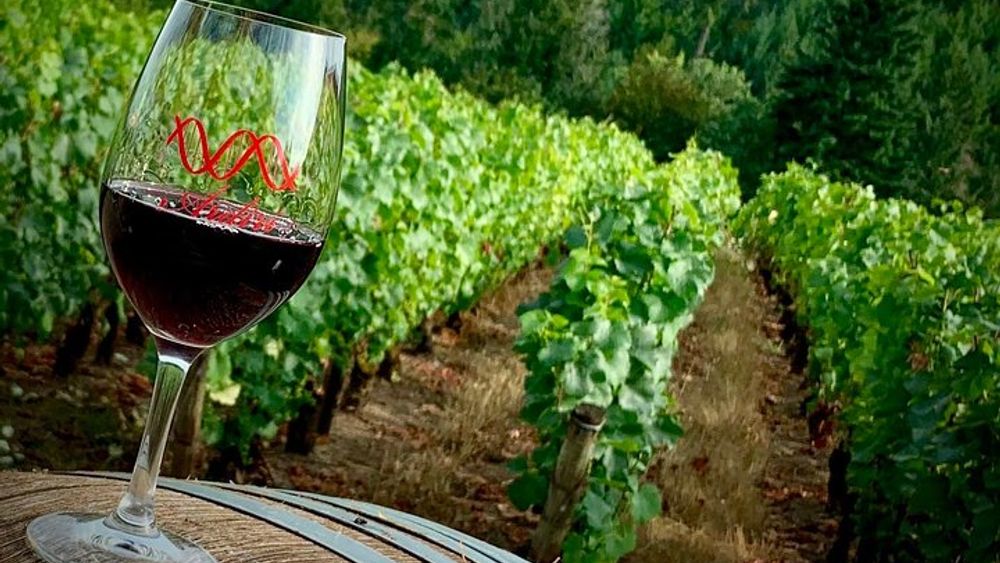 Portland Small-Group Willamette Valley Winery Tour