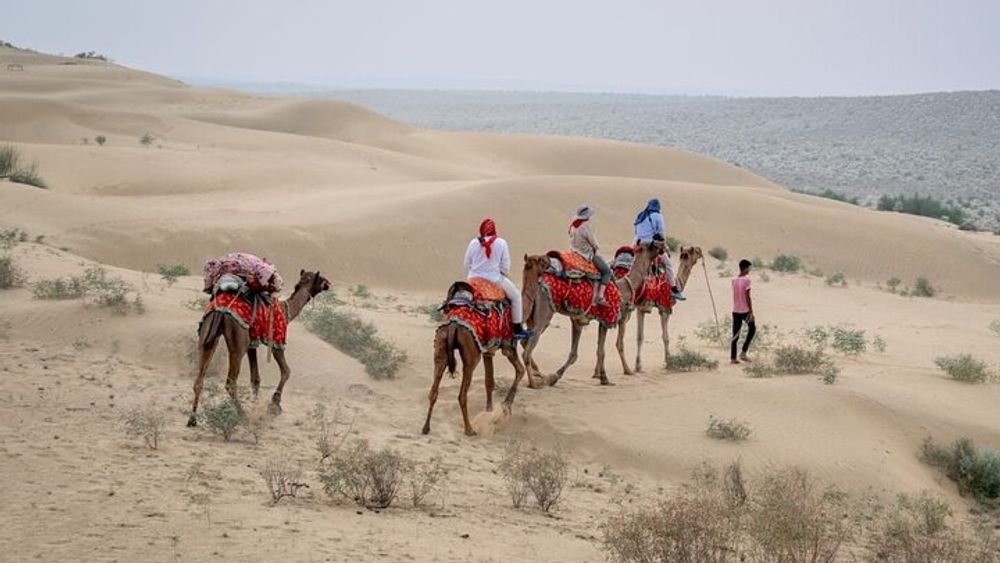Half Day Sunset Camel Safari Jaisalmer