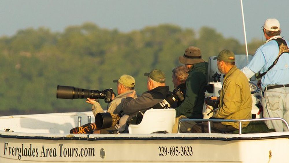 Everglades National Park: Small-Group Boat Tour