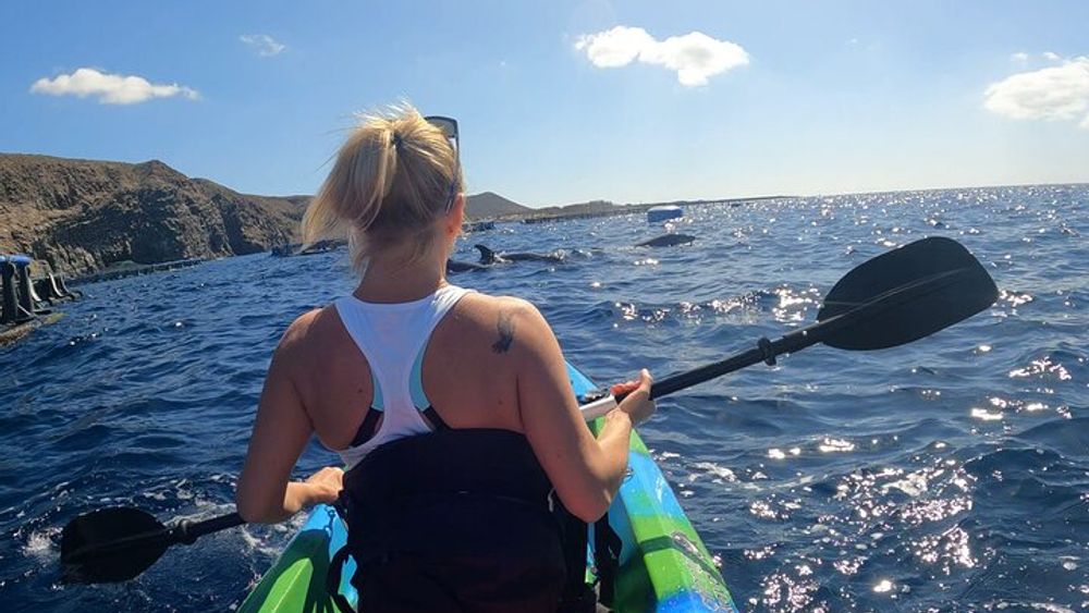 Guided Kayak Tour From Los Cristianos Beach Tenerife