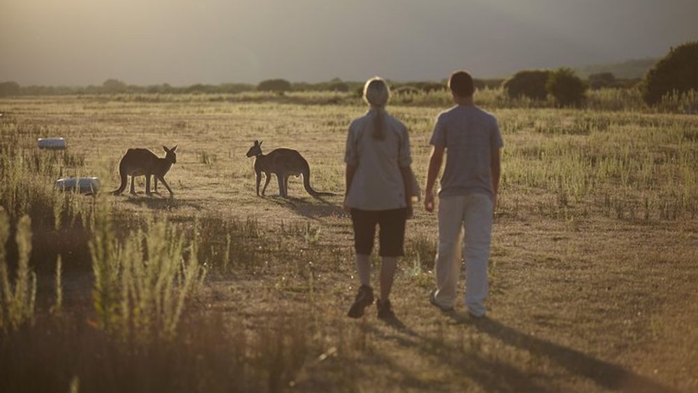Wilsons Promontory Day Trip from Melbourne