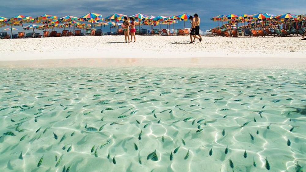 Khai Island Half Day Tour by Speedboat from Phuket