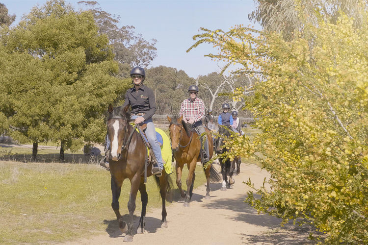 Group Horse Riding Tour - 1 Hour 