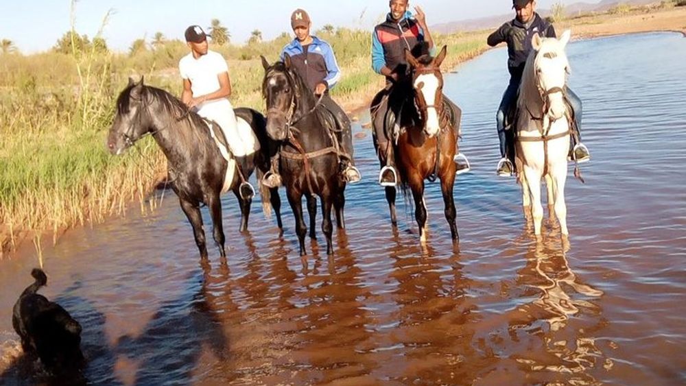 Ouarzazate Horseback or Camel Riding Hollywood Tour