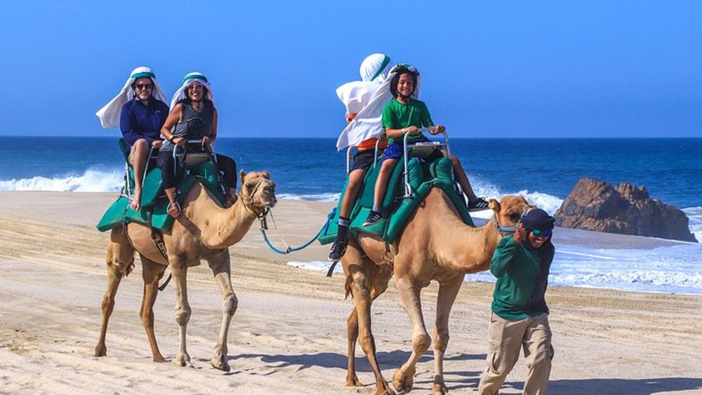 Small-Group Camel Riding on the Beach in Cabo San Lucas