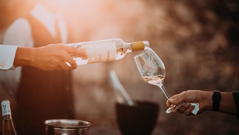 Half-Day Stellenbosch Winelands Tour from Cape Town