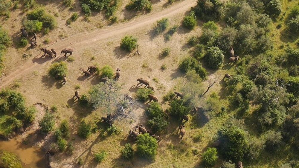 Helicopter Scenic Flight over Victoria Falls