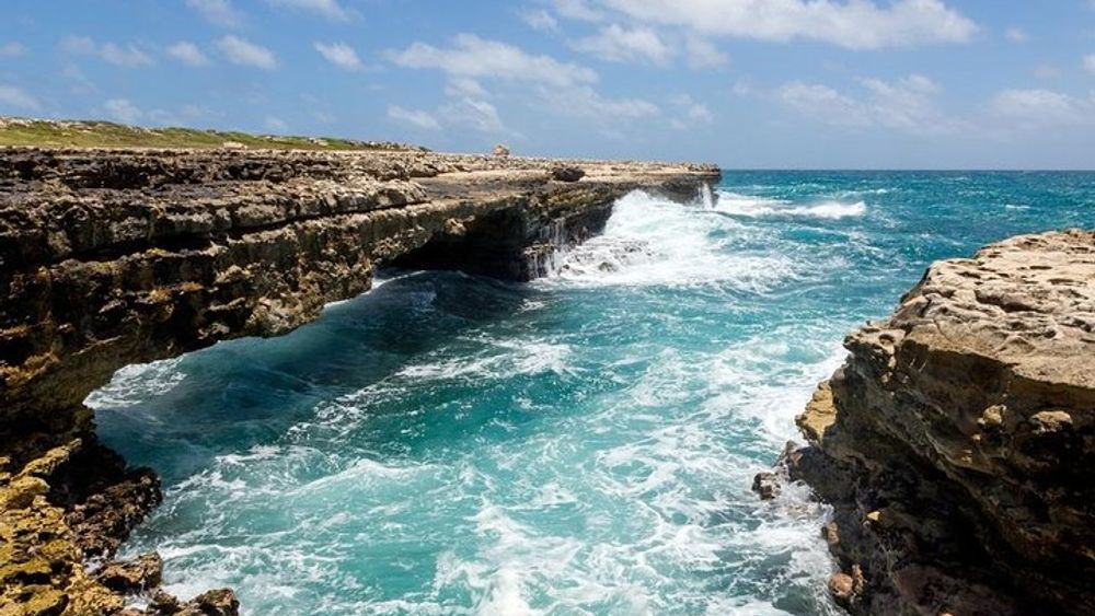 Island Safari 4x4 Discovery Tour from St John's