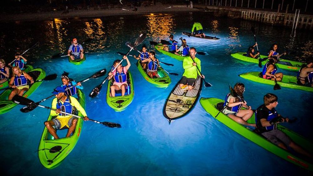 Night Kayak Tour St. John - Westin Resort