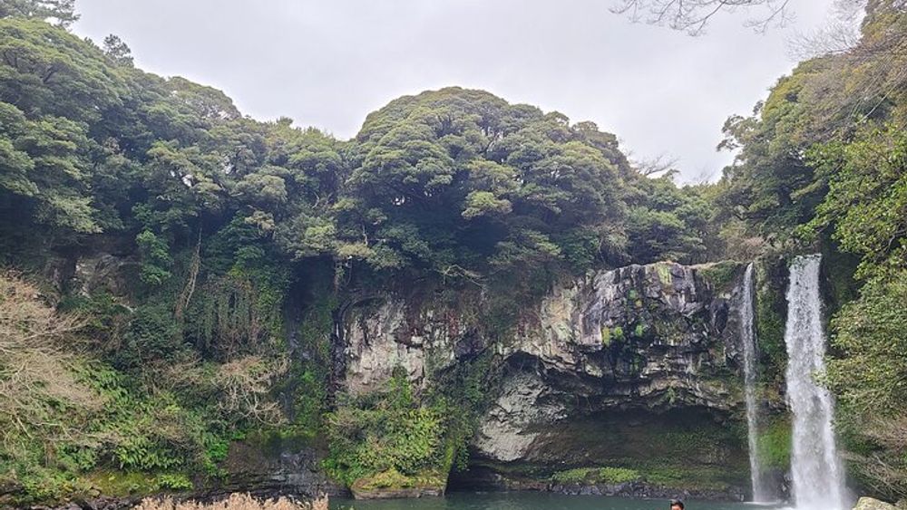 Jeju island Southern Unesco Mt.halla ONE day Bus Tour