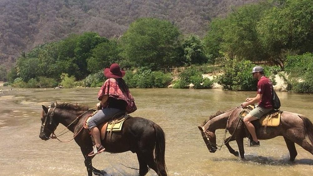 Horses on The Beach or Hot Springs