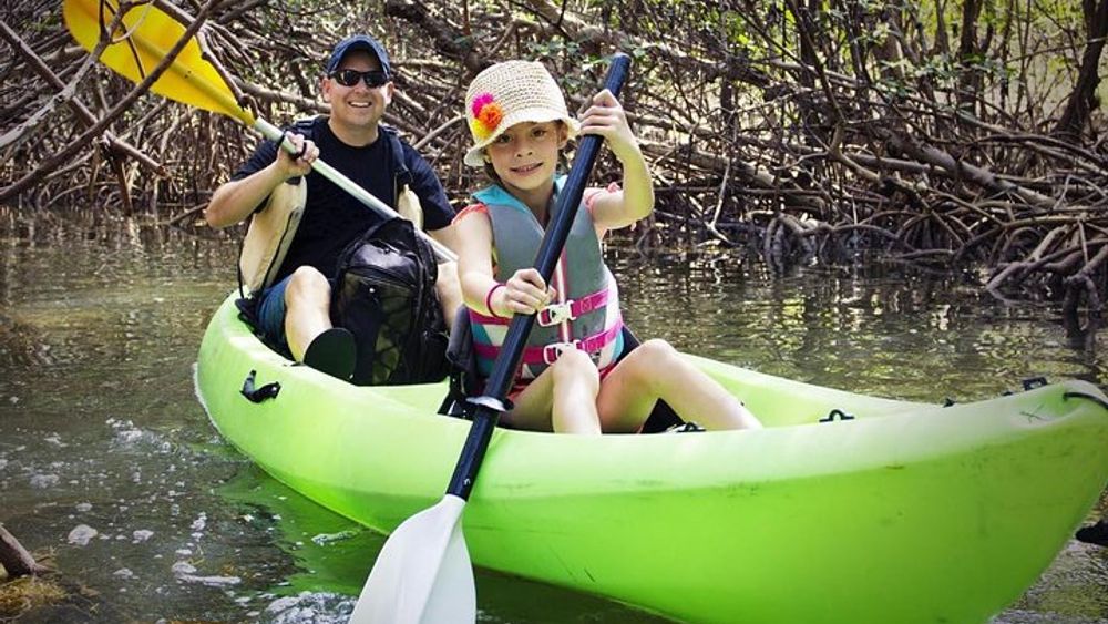 Fully Guided Kayaking Backwater Manatee and Dolphin Tour