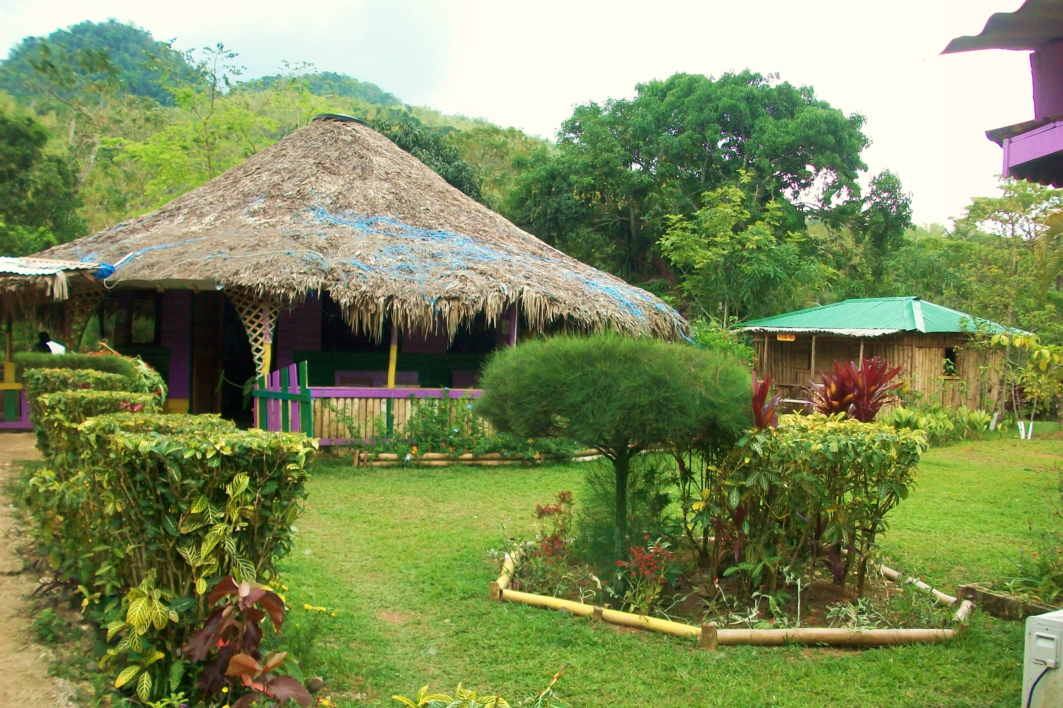 Mayfield Falls Eco-Adventure Tour from Negril