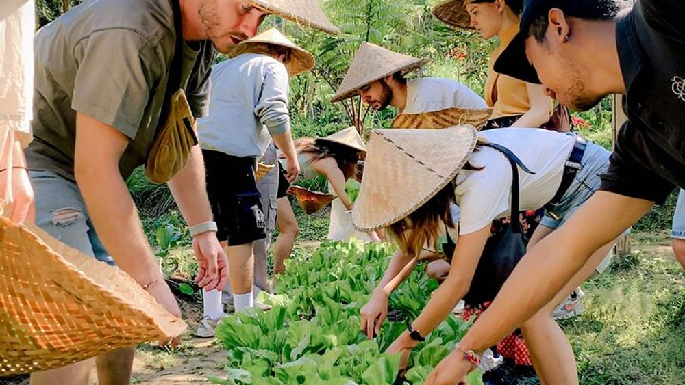 Ubud Farm to Table Cooking Class