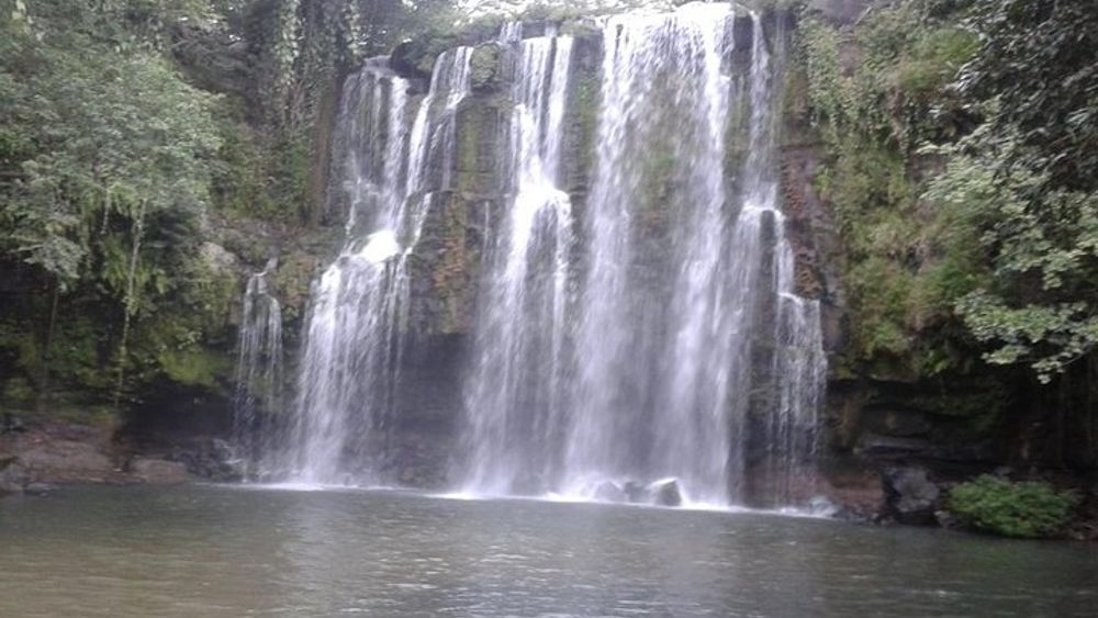 Tamarindo Pumas Rescue Center and Waterfall Swim