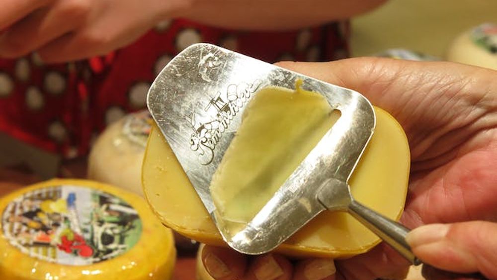 High-Cheese Tasting Experience and Guided Tour of a Traditional Farm
