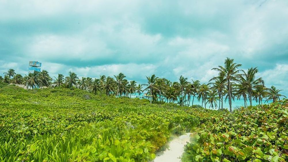 Isla Contoy, Isla Mujeres Tour with Snorkeling