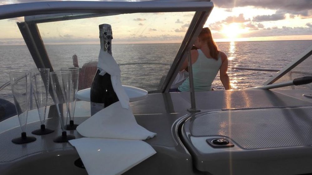 Private Dolphin and Whale Watching Tour in Madeira