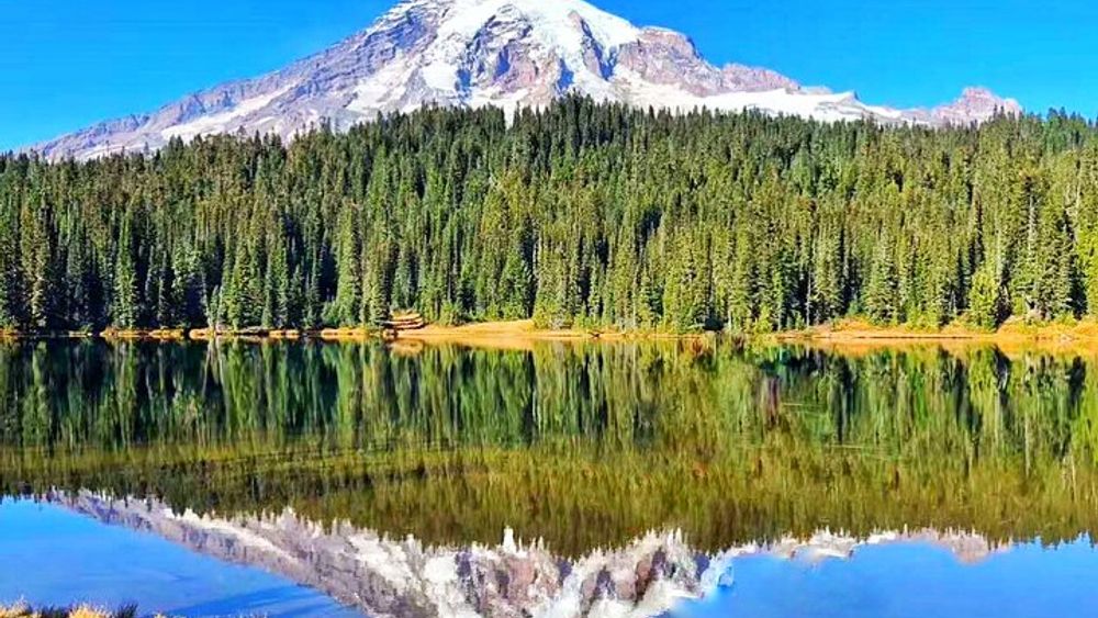 Mt. Rainer National Park Day Trip From Seattle With Snacks