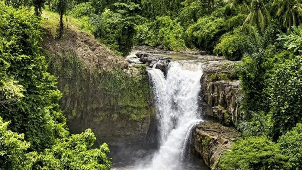 Ubud Day Tour: Sacred Monkey Forest, Tegenungan Waterfall, Rice Terrace