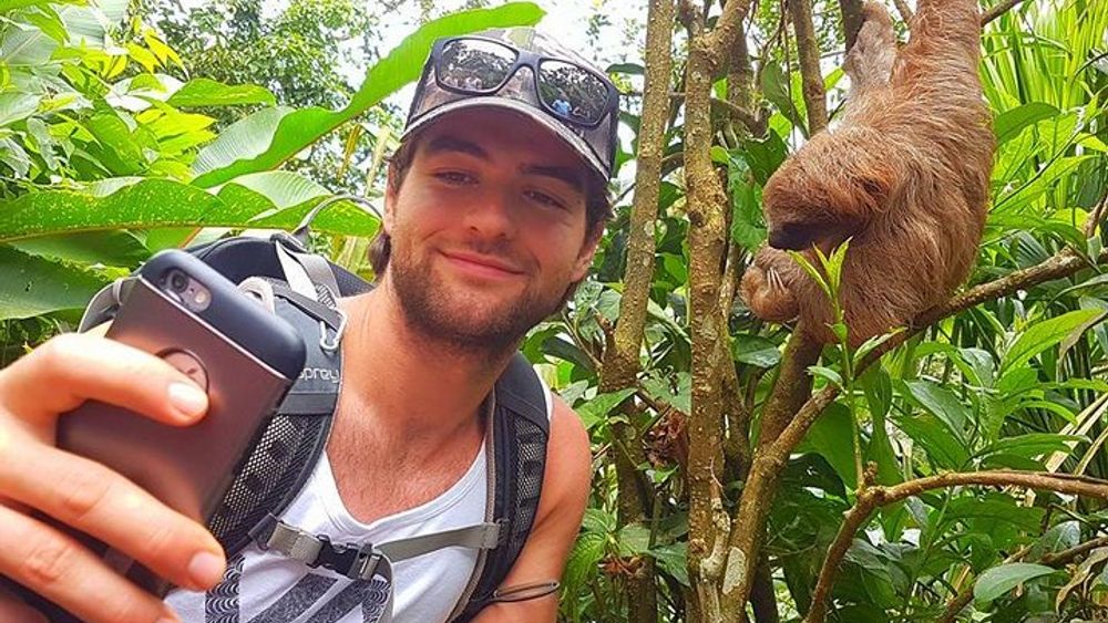 Sloth Discovery from Playa del Coco Area