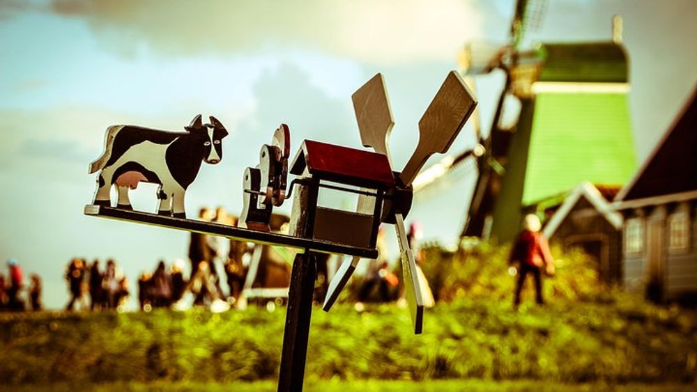 Amsterdam to Zaanse Schans, Edam, Volendam & Marken Full-Day Tour