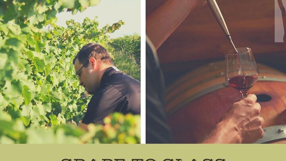 Between the Lines Grape to Glass Wine Experience
