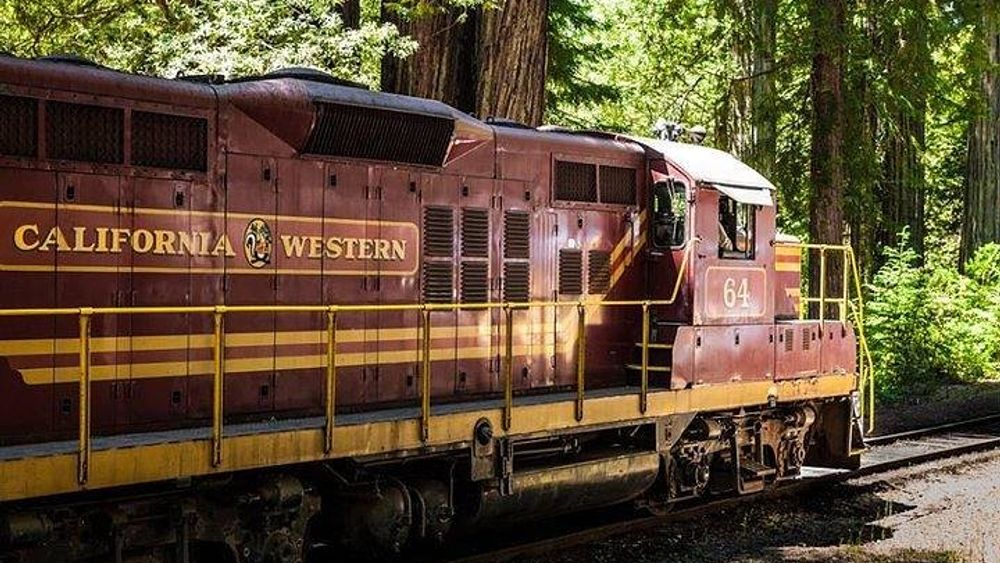 Two-Hour Historic Skunk Train Tour, Including Wolf Tree