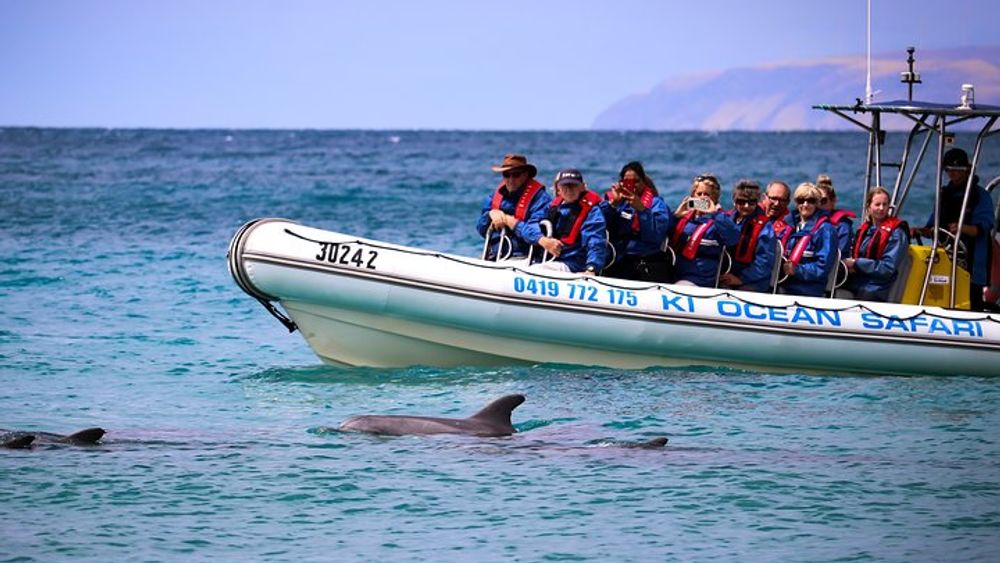 Kangaroo Island 75-Minute Coastal Safari
