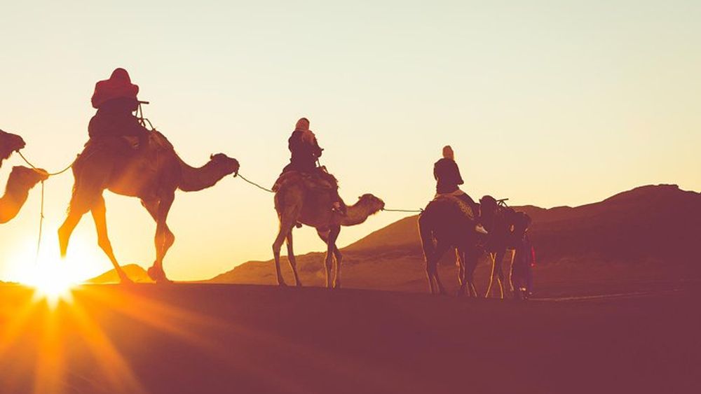 Sunset or Sunrise Camel ride in the Sahara Desert of Douz